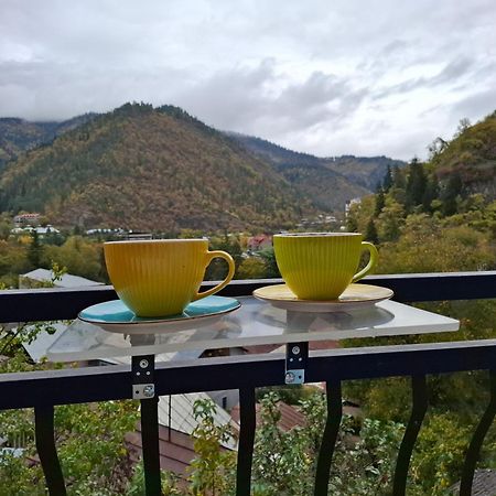 Hotel Borjomi Nest Exteriér fotografie