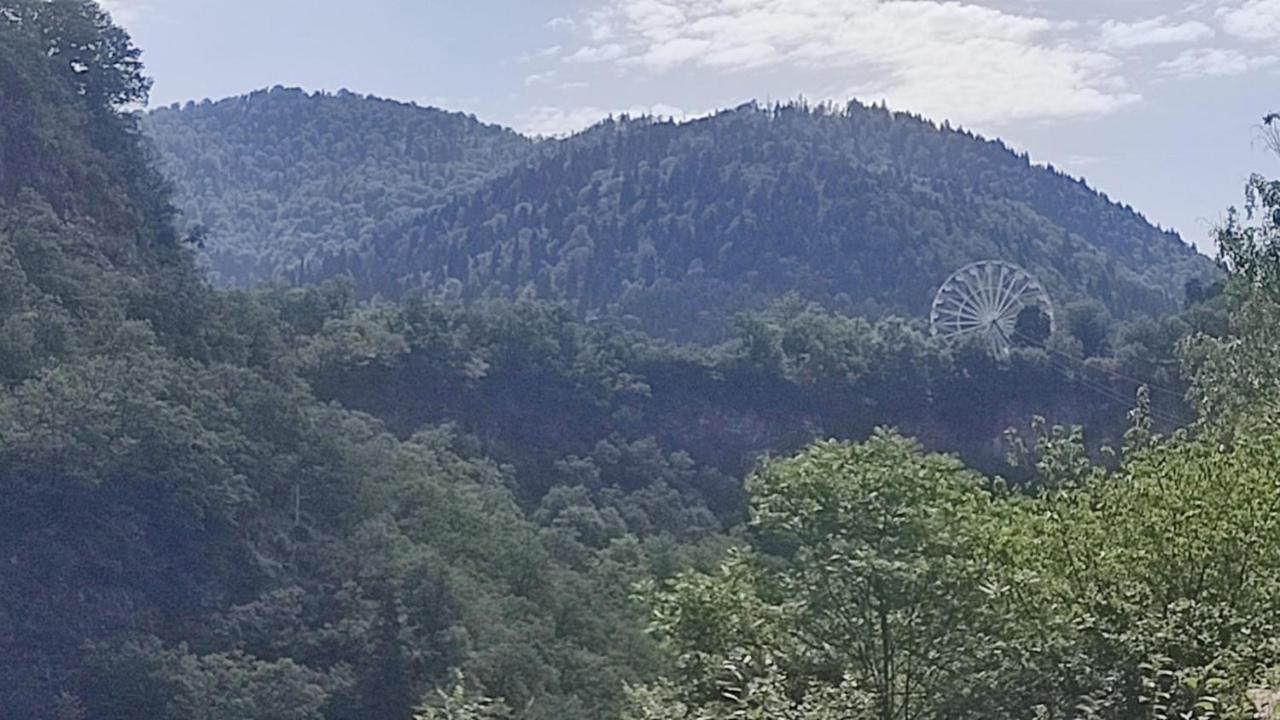 Hotel Borjomi Nest Exteriér fotografie