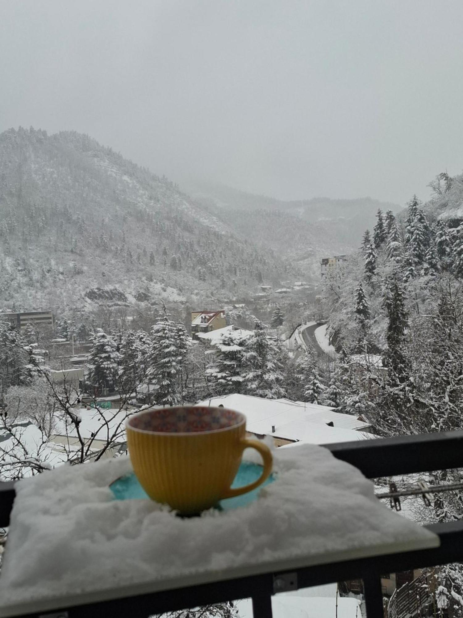 Hotel Borjomi Nest Exteriér fotografie